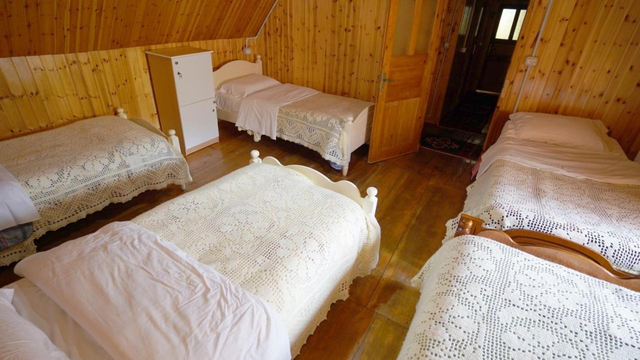 Hotel Bujtina Tradicionale Lepushe Exteriér fotografie